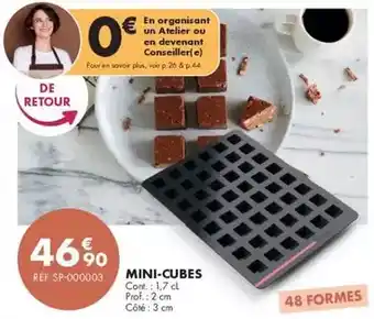 Guy Demarle Prof - mini-cubes offre