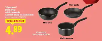 Espace emeraude Nettoyeur haute pression thermique offre