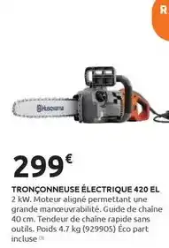 Rural Master Tronçonneuse électrique offre