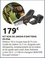 Rural Master Kit scie de jardin à batterie p5-p4a offre