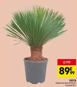 Supeco Yucca offre