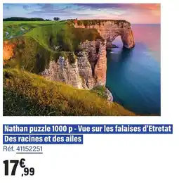 JouéClub Nathan puzzle 1000 p vue sur les falaises d'etretat des racines et des ailes offre