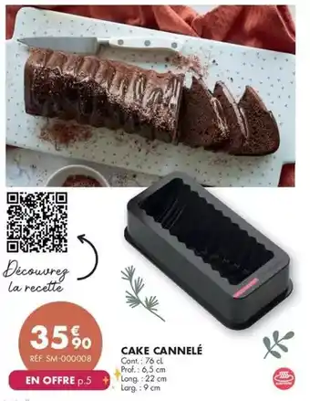 Guy Demarle Prof - cake cannelé offre