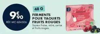 Guy Demarle Fer ments pour yaourts fruits rouges offre