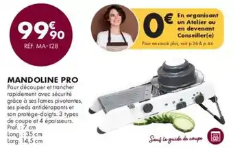 Guy Demarle Prof - mandoline pro offre