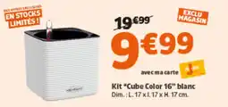 Jardiland Kit cube color 16 blanc offre