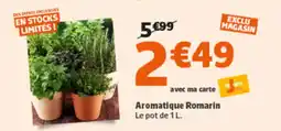 Jardiland Aromatique romarin offre