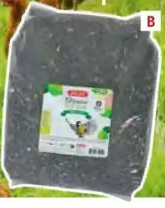 Provence Outillage Graines de tournesol offre