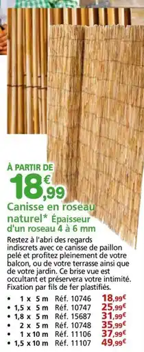Provence Outillage Canisse en roseau naturel Épaisseur d'un roseau 4 à 6 mm offre