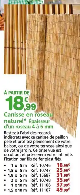 Provence Outillage Canisse en roseau naturel Épaisseur d'un roseau 4 à 6 mm offre