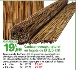 Provence Outillage Canisse roseaux naturel en fagots de Ø 2,5 cm offre
