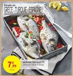 Intermarché DORADE ROYALE offre