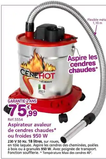 Provence Outillage Aspirateur avaleur de cendres chaudes ou froides 950 W offre