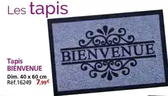 Provence Outillage BIENVENUE Tapis offre