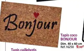 Provence Outillage BONJOUR Tapis coco offre