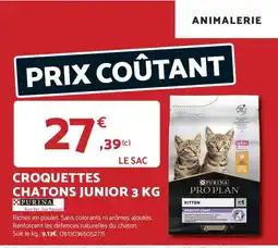 Bricomarché Croquettes chatons junior offre