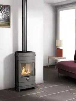 Brico Dépôt Poêle à bois balami 7kw offre