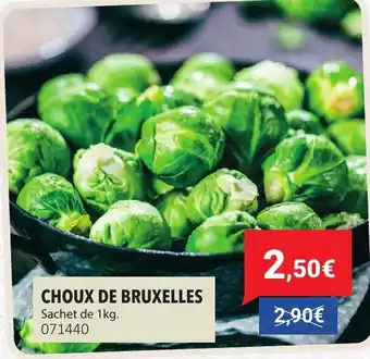 Gel 2000 Choux de bruxelles offre