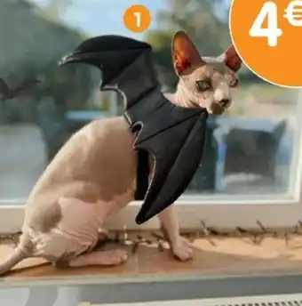 b&m Costume pour chien ailes de chauve-souris offre