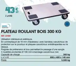 Master Pro Plateau roulant bois offre