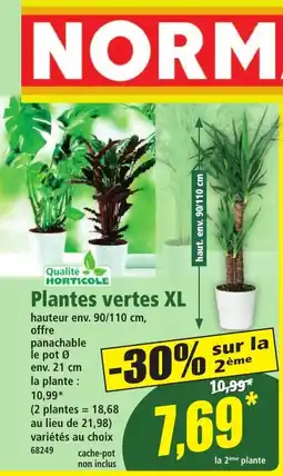 Norma Plantes vertes xl offre