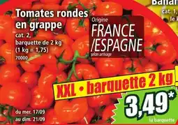 Norma Tomates rondes en grappe offre