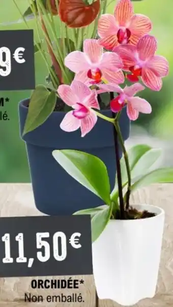 E.Leclerc Orchidee offre