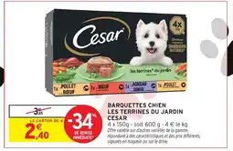 Intermarché CESAR Barquettes chien les terrines du jardin offre