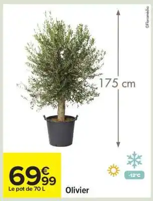 Carrefour Olivier offre