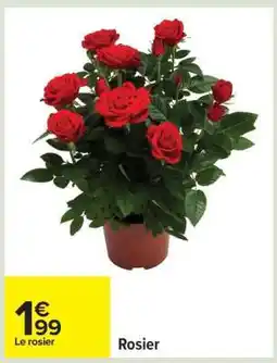 Carrefour Rosier offre