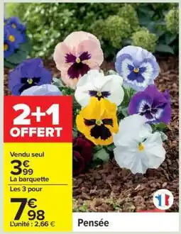 Carrefour Pensée offre