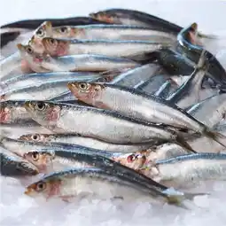 Carrefour CRF LE MARCHE Sardine offre