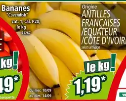 Norma Cavendish Bananes offre
