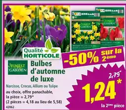 Norma FINEST GARDEN Bulbes d’automne de luxe offre