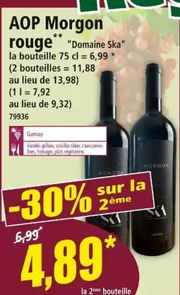 Norma DOMAINE SKA AOP Morgon rouge offre