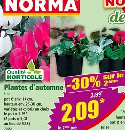 Norma Norma Plantes d'automne trio offre
