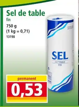 Norma Sel de table fin offre