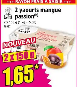 Norma 2 yaourts mangue passion offre