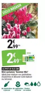 Gamm vert Mix - le pot 10.5 cm offre