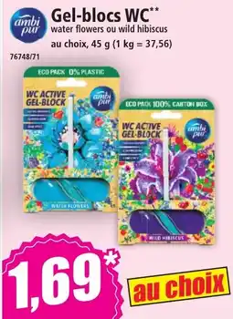 Norma Gel-blocs wc offre
