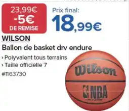 Costco WILSON Ballon de basket drv endure offre
