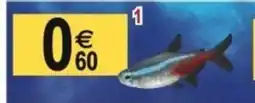 Tridôme Néon bleu innesi offre