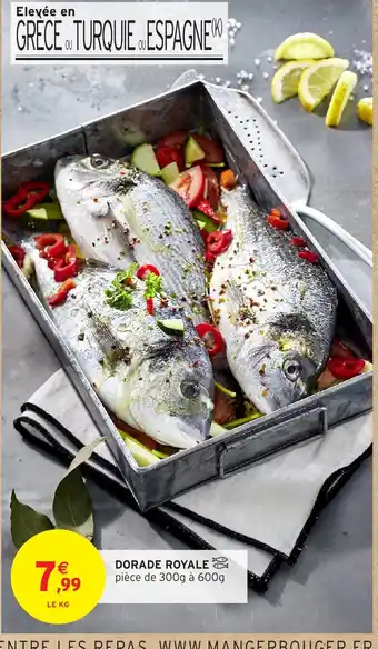 Intermarché Hyper Dorade royale offre