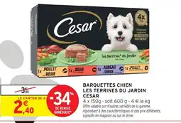 Intermarché Hyper CESAR Barquettes chien les terrines du jardin offre