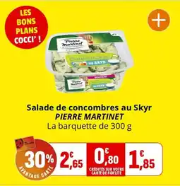 Coccinelle Express PIERRE MARTINET Salade de concombres au Skyr offre