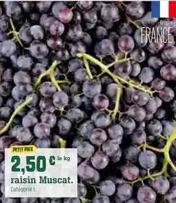 Fresh Raisin muscat offre