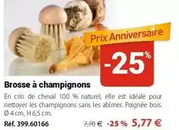 Mathon Brosse à champignons offre