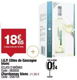 Promocash Carrefour - i.g.p. côtes de gascogne blanc offre
