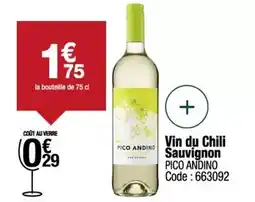 Promocash Vin du chili sauvignon offre