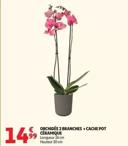 Coccinelle Supermarché LOTUS papier hygiénique aqua tube confort collection offre